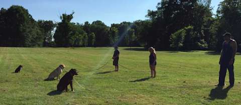 Jobs in Alpha Obedience Dog Training - reviews
